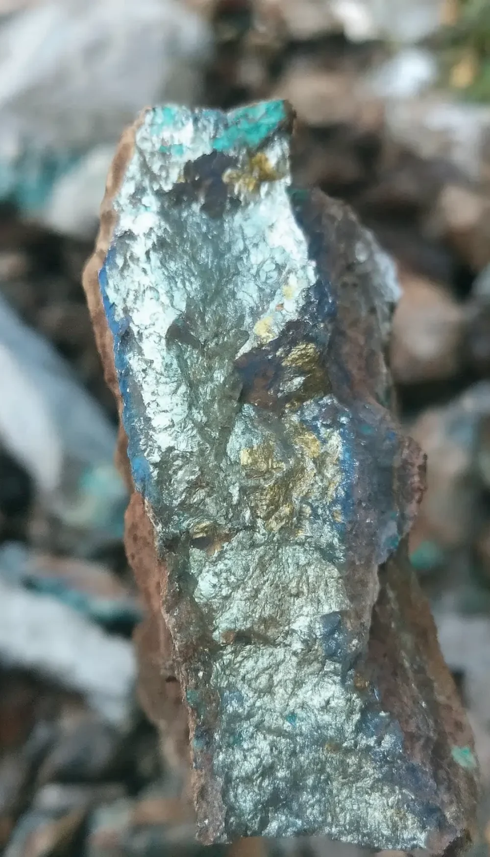 Coper Gold as before