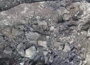 Silver Ore Main