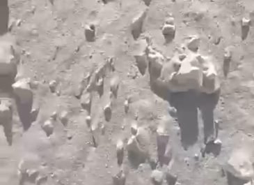 silica sand .